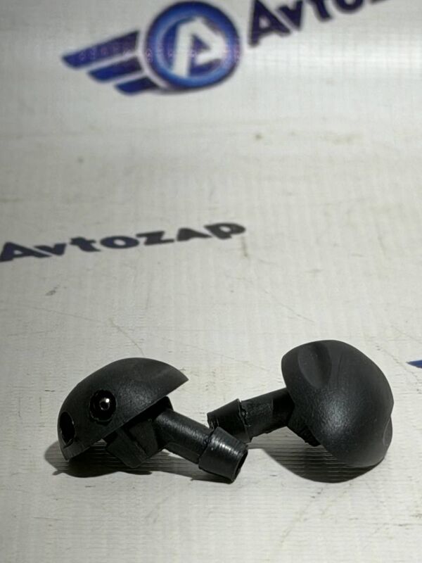 Жиклеры омывателя LRGS 2шт