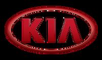 Электронный корректор дроссельной заслонки "SHPORA" для автомобилей марки KIA