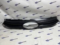 Зимняя защита (Верхняя) 2180 NG